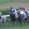 【競馬/エリ女】ヴィブロスにルメール乗せた佐々木ｗｗｗｗｗｗｗｗｗｗｗ