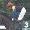 【競馬/神戸新聞杯】いっくん、やっぱりダメ。ワグネリアン未定