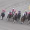 【競馬/武蔵野S】福永カフジテイクで何してんねん・・