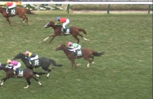 【競馬/福島記念】戸崎圭太さん、エリ女の騎乗依頼を断り乗りに行ったサンマルティンを飛ばす 【競馬/福島記念】戸崎圭太さん、エリ女の騎乗依頼を断り乗りに行ったサンマルティンを飛ばす