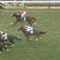 【競馬/福島記念】戸崎圭太さん、エリ女の騎乗依頼を断り乗りに行ったサンマルティンを飛ばす