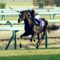 【競馬】キタサンブラックのGⅠ7勝とコパノリッキーのGⅠ11勝ってどっちがすごいの？