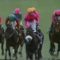 【競馬】ナリタブライアン　3歳末でＧ1を５勝　怪物