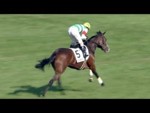 【競馬】超良血馬が揃いすぎワロタwww 2月17日(土) フリージア賞 3歳500万円以下 【競馬】超良血馬が揃いすぎワロタwww 2月17日(土) フリージア賞 3歳500万円以下