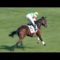 【競馬】エリスライトとは何だったのか・・・