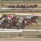 【競馬】短距離ダート神種牡馬サウスヴィグラスって強かったの？