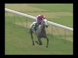 【競馬】カネツクロス死亡
