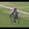 【競馬】カネツクロス死亡