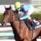 【競馬】2018年のクラシック現時点で5強
