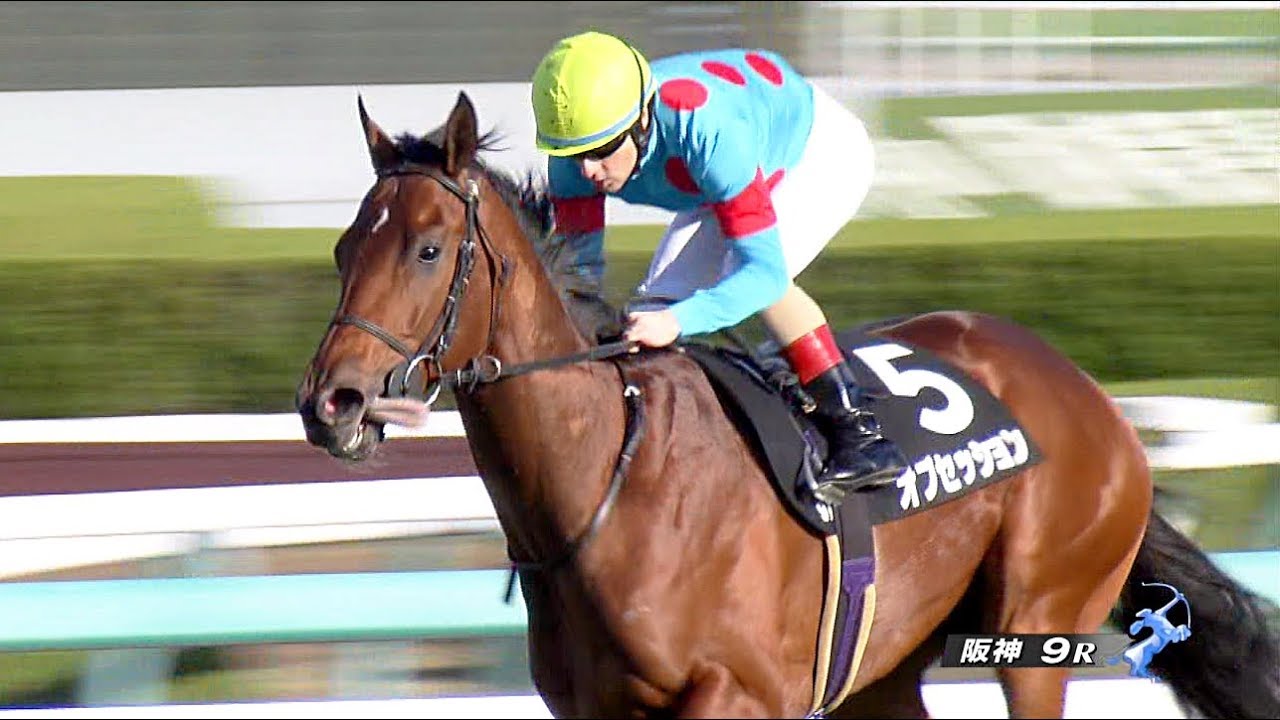 【競馬】オブセッション喉鳴りの手術の合併症で大腸炎を発症して危篤状態