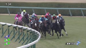 【競馬】ダンビュライトが有馬の裏の阪神でひっそりと出走した結果