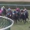 【競馬】ダンビュライトが有馬の裏の阪神でひっそりと出走した結果