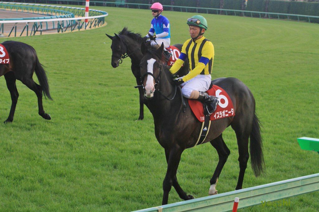 【競馬/阪神C】ラストランで有終の美。イスラボニータにかけてあげたい言葉