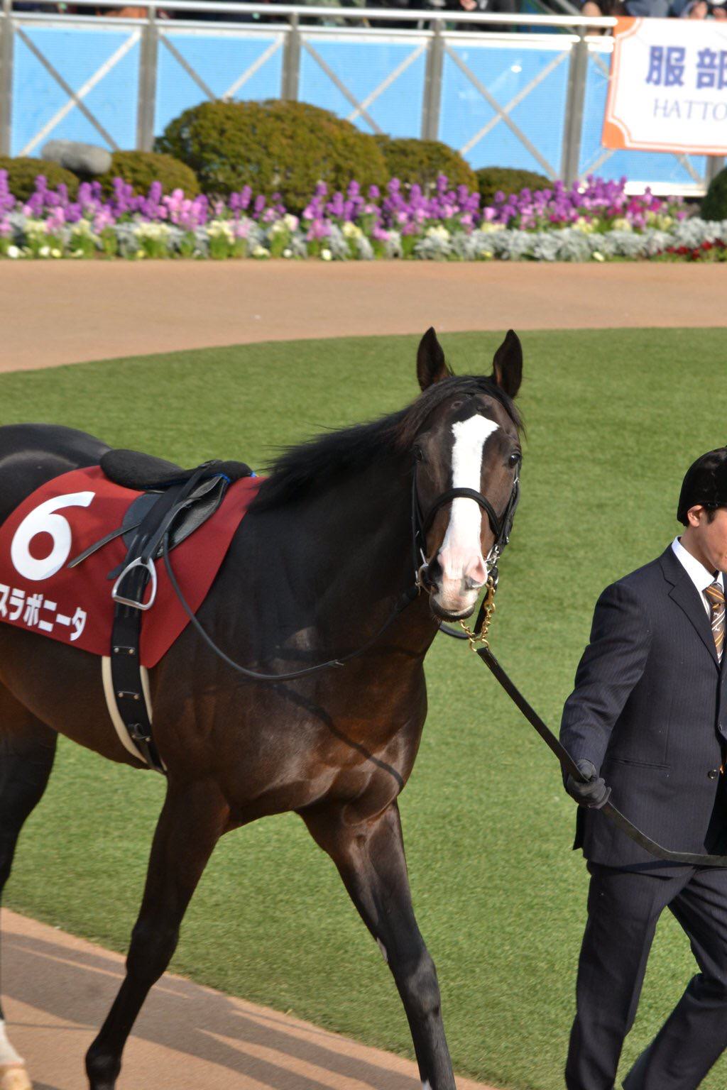 【競馬/阪神C】ラストランで有終の美。イスラボニータにかけてあげたい言葉