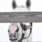 【競馬】ゴールドシップ容疑者（牡８歳）【画像あり】