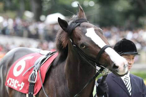 【競馬/阪神C】ラストランで有終の美。イスラボニータにかけてあげたい言葉
