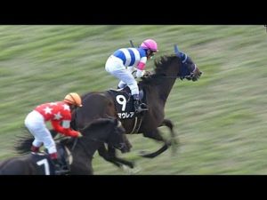 【競馬】マウレア、武豊と新コンビでチューリップ賞へ 優先出走権を獲得できれば桜花賞も引き続き手綱を取る予定