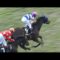 【競馬】マウレア、武豊と新コンビでチューリップ賞へ 優先出走権を獲得できれば桜花賞も引き続き手綱を取る予定