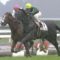 【競馬】共同通信杯1週前グレイルが調教で驚愕の時計叩き出してるわ・・・怪物だな・・・