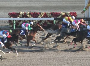 【競馬】競馬新聞TM、ケイティブレイブ福永にガッカリ「博打を打って欲しかった」