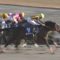 【競馬/チャンピオンズC】アンカツがテイエムジンソクの乗り方について古川を批判してる件について！！！