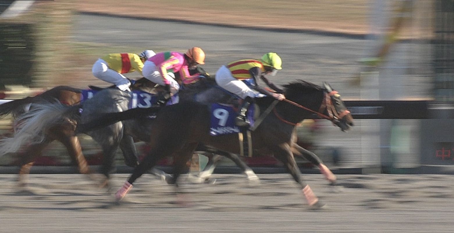 【競馬/チャンピオンズC】天を仰いだ古川が「何で負けるんだ…」と声を絞り出した。