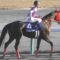 【競馬/チャンピオンズC】ノンコノユメのチンコ切った無能調教師wwwww