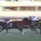 【競馬/ホープフルS】タイムフライヤー強すぎわろたｗｗｗｗｗ
