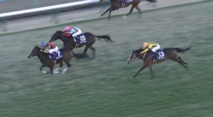 【競馬/ホープフルS】8番人気3着中谷騎乗のステイフーリッシュ買えたやつ