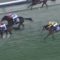【競馬/ホープフルS】8番人気3着中谷騎乗のステイフーリッシュ買えたやつ