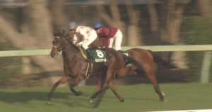 【競馬/阪神牝馬S】ミスパンテール横山ノリ前ポツンｗ