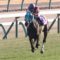 【競馬】オジュウチョウサンって今後どうすんの？