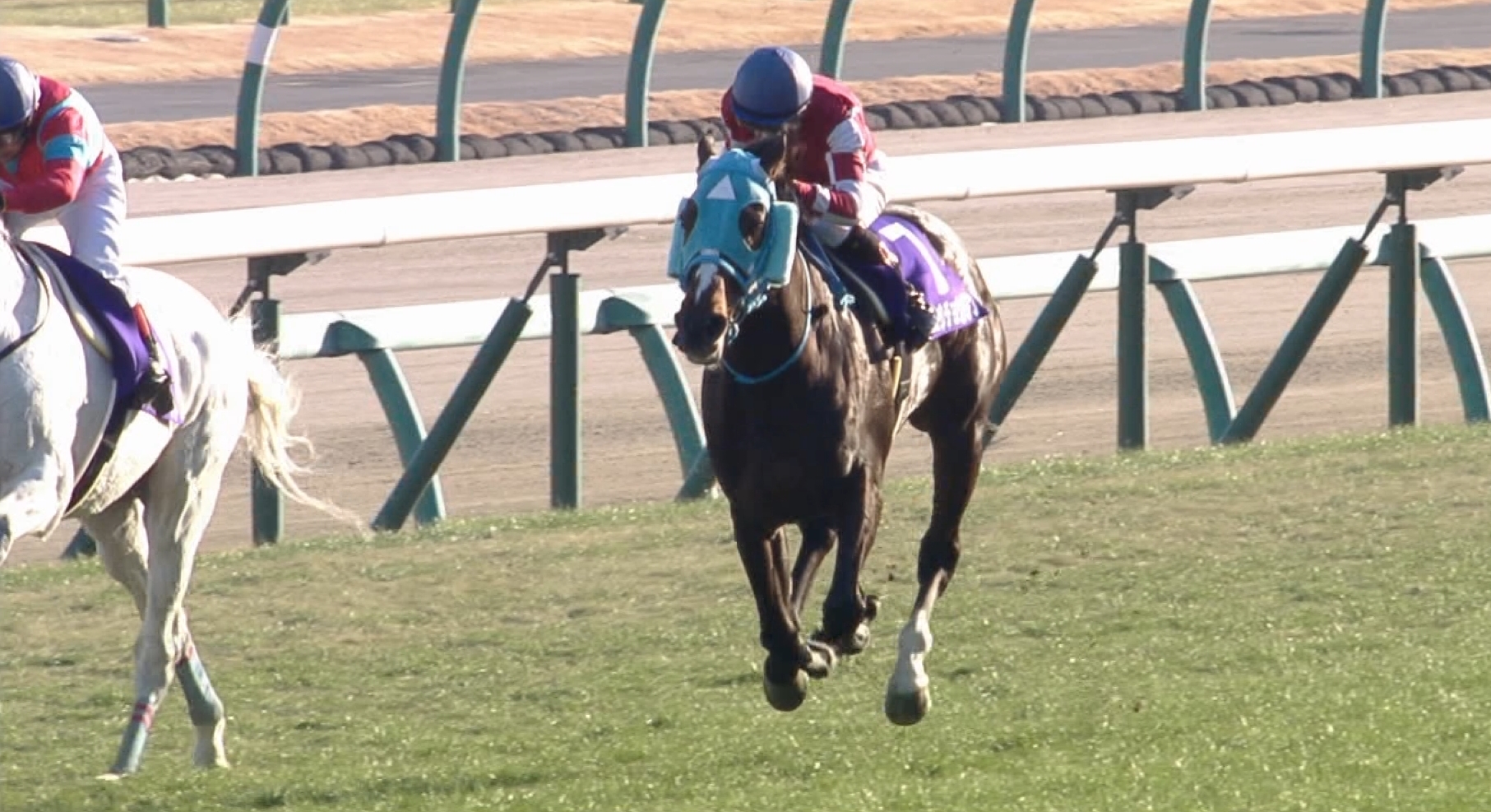 【競馬/阪神SJ】オジュウチョウサン強すぎワロタｗｗｗｗｗｗｗｗｗｗｗｗｗｗｗｗｗｗｗｗｗｗ