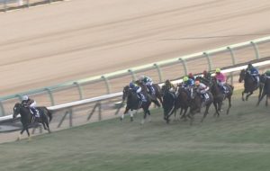 【競馬】おまいらスワーヴリチャードが有馬で馬券外になる確信ってどれぐらいあった? 【競馬】おまいらスワーヴリチャードが有馬で馬券外になる確信ってどれぐらいあった?