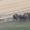 【競馬】おまいらスワーヴリチャードが有馬で馬券外になる確信ってどれぐらいあった？