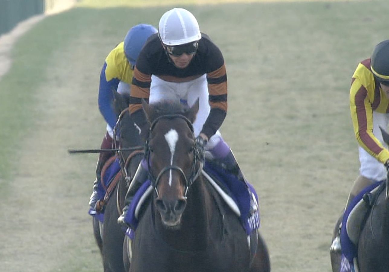 【競馬】キタサンブラック1年目の産駒65頭しかいない