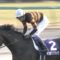 【競馬】キタサンブラック、年を跨いで秋古馬三冠偉業すぎワロタ
