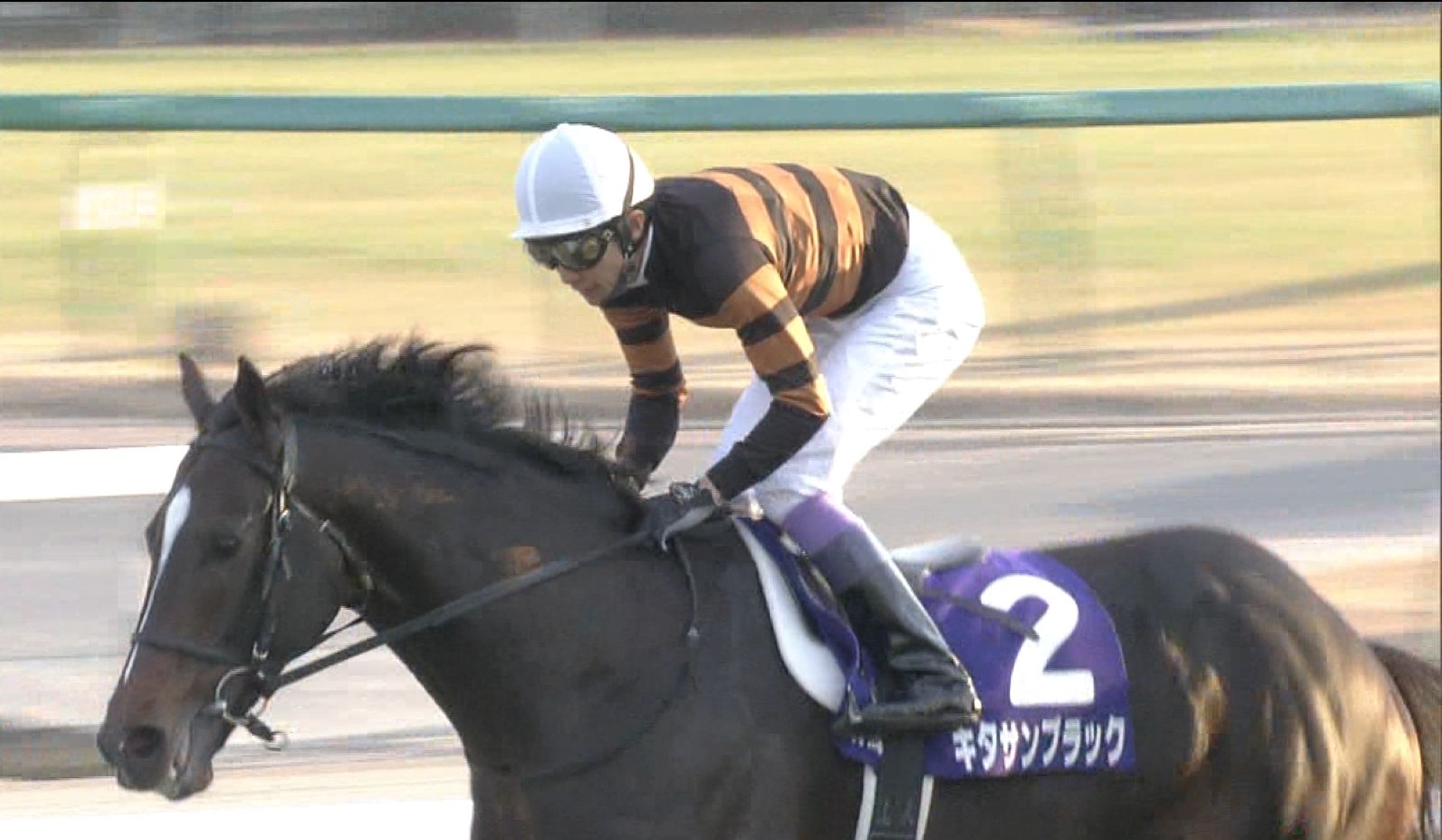 【競馬】キタサンブラック、年を跨いで秋古馬三冠偉業すぎワロタ
