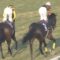 【競馬/有馬記念】ルメールって買うと来なくて買わないと来るんだけど【クイーンズリング2着】