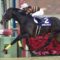 【競馬】有馬記念公開枠順抽選会まであと1時間。YouTubeでも生配信あり