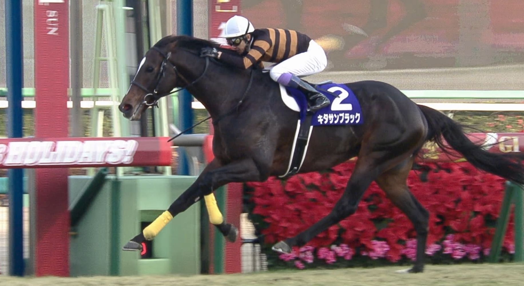 【競馬】キタサンブラックとコパノリッキーを同時期に出したヤナガワ牧場凄すぎワロタｗｗｗｗｗｗｗｗｗ