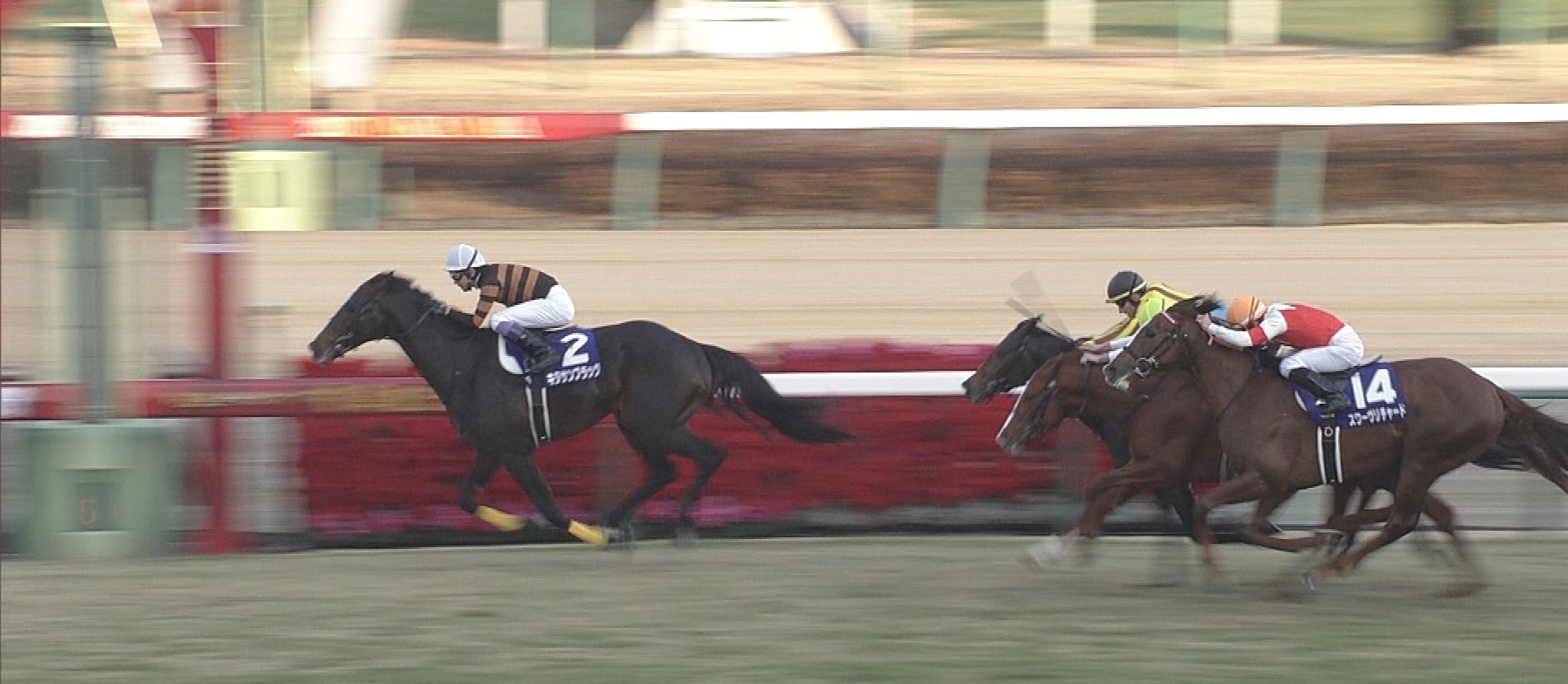 【競馬/有馬記念】青嶋の有馬記念実況を書き起こしたらやっぱりひどかった