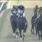 【競馬】秋天→内超有利外絶望、有馬→内超有利外絶望