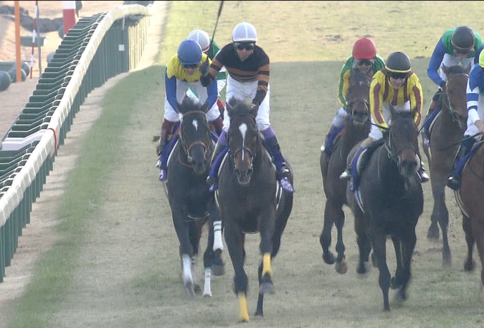 【競馬】秋天→内超有利外絶望、有馬→内超有利外絶望