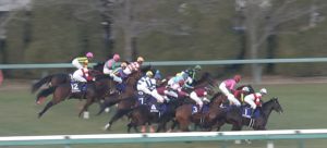 【競馬/高松宮記念】枠順確定！ダノンスマッシュ7枠13番、武豊モズ7枠15番、菜七子スノードラゴン1枠1番
