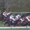 【競馬/朝日杯FS】福永騎手（ダノンスマッシュ＝５着）「スタートで滑って落馬するかと思うくらいつまずいた。」