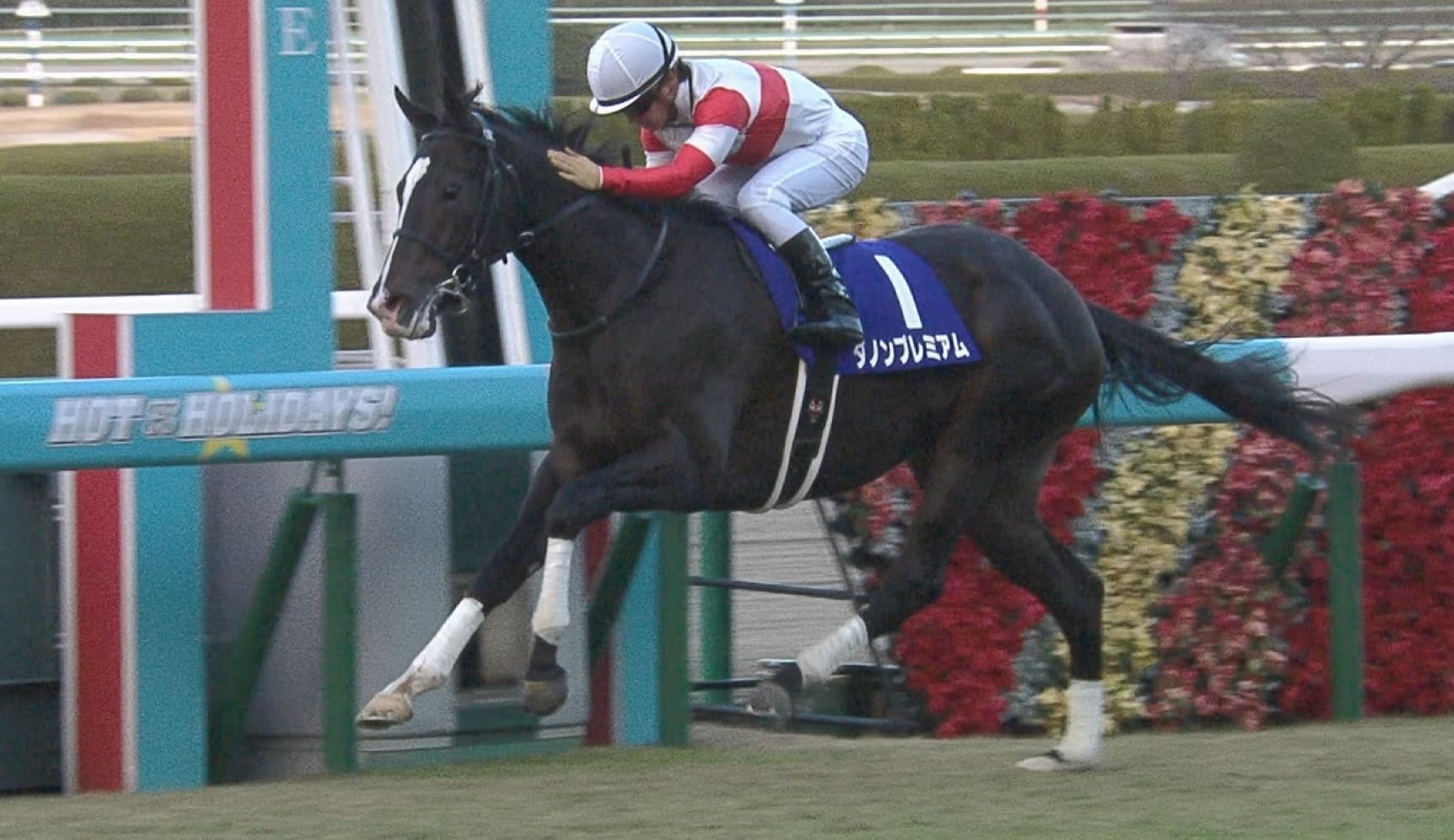 【競馬/朝日杯FS】ダノンプレミアム中内田厩舎G1初勝利 【競馬/朝日杯FS】ダノンプレミアム中内田厩舎G1初勝利