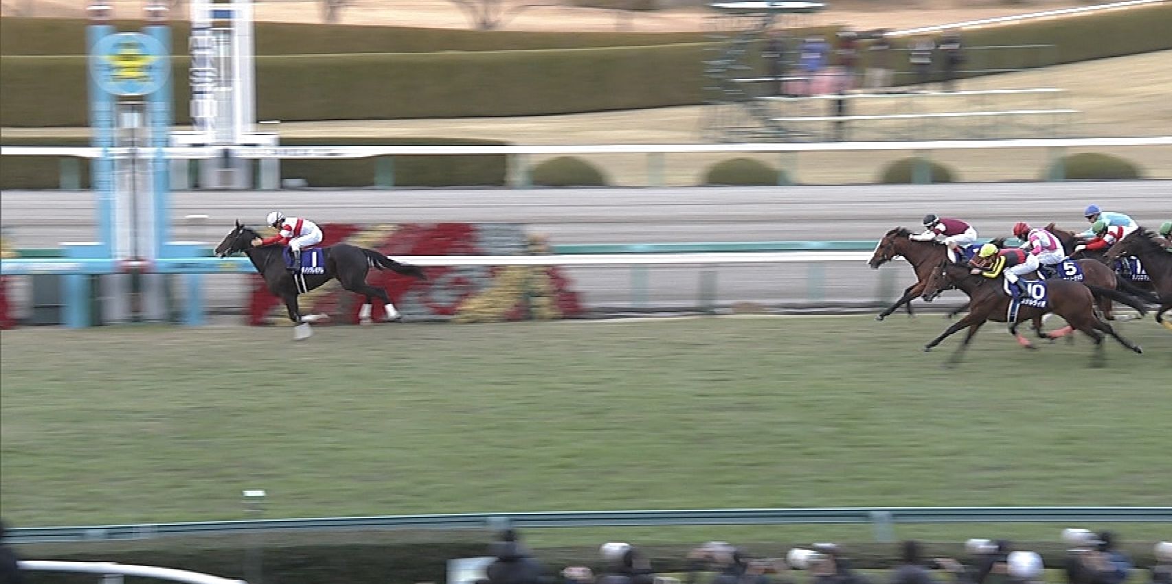 【競馬/弥生賞】競馬予想Youtuber「本命は…ダノンプレミアムです！」←えぇ…