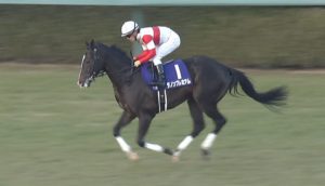 【競馬・天皇賞秋】悲報・・ダノンプレミアム、もう負ける 【競馬・天皇賞秋】悲報・・ダノンプレミアム、もう負ける