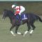 【競馬】中内田充正厩舎なんてあまり聞いたことがないけど 名門なの？
